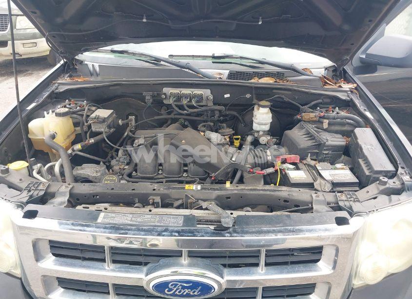 Photo 10 of 2008 Ford Escape XLT (VIN 1FMCU03128KE54638)