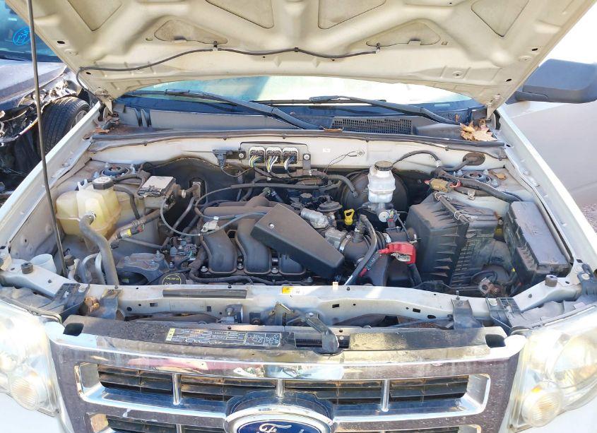 Photo 10 of 2008 Ford Escape XLT (VIN 1FMCU03138KB58897)