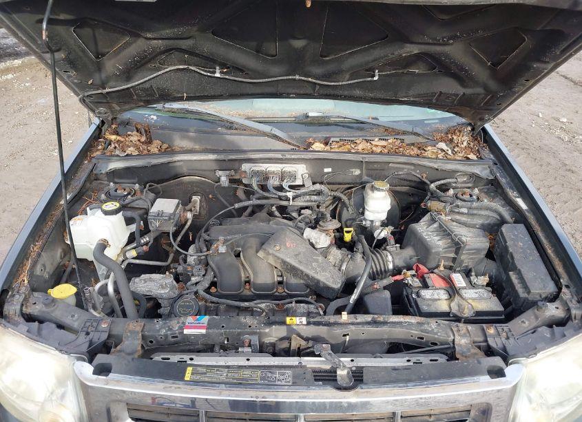 Photo 10 of 2008 Ford Escape XLT (VIN 1FMCU03148KA67136)