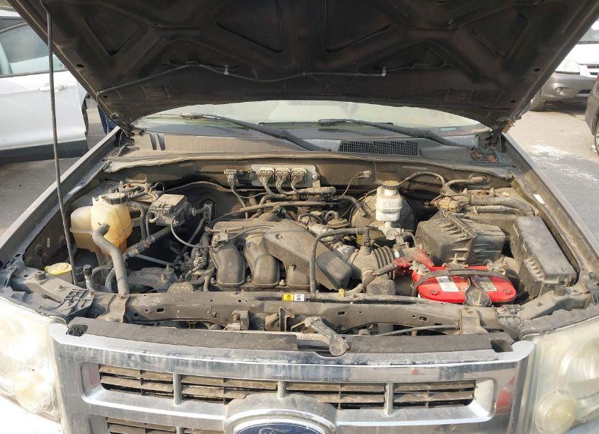 Photo 10 of 2008 Ford Escape XLT (VIN 1FMCU03148KC06312)