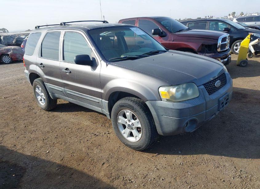 2006 Ford Escape XLT/XLT SPORT (VIN 1FMCU03166KB17905) main photo
