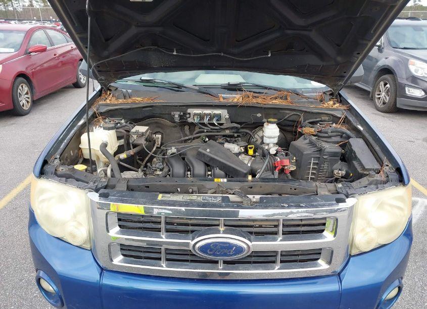 Photo 10 of 2008 Ford Escape XLT (VIN 1FMCU03188KD85485)