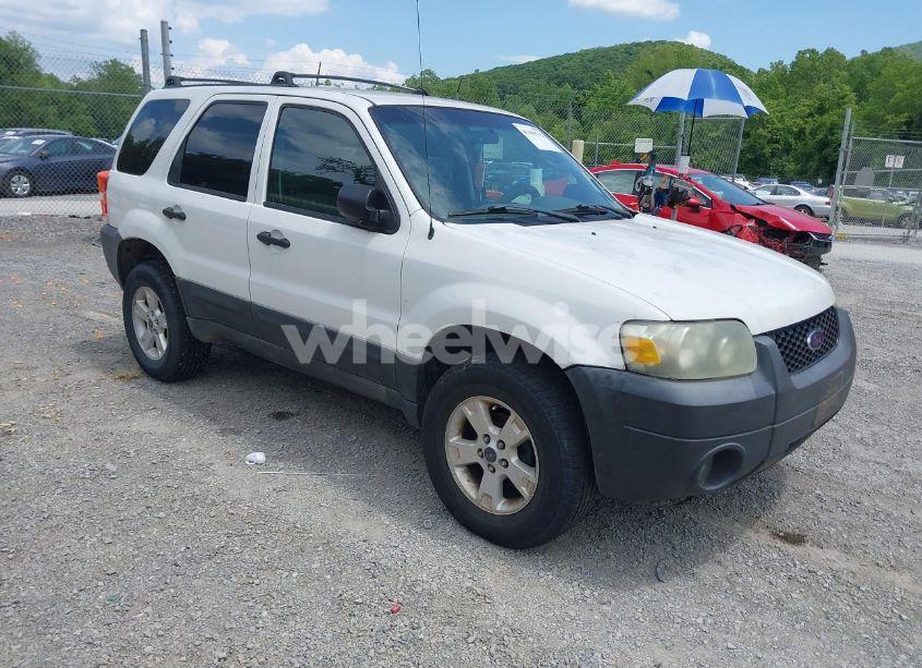 2005 Ford Escape XLT (VIN 1FMCU031X5KA63782) main photo