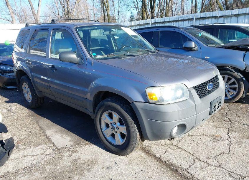 2007 Ford Escape XLT/XLT SPORT (VIN 1FMCU031X7KA20532) main photo