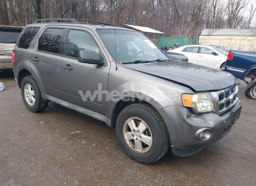 2009 Ford Escape XLT (VIN 1FMCU03709KA51747) main photo
