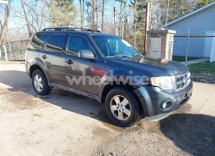 2009 Ford Escape XLT (VIN 1FMCU03709KB87490) main photo