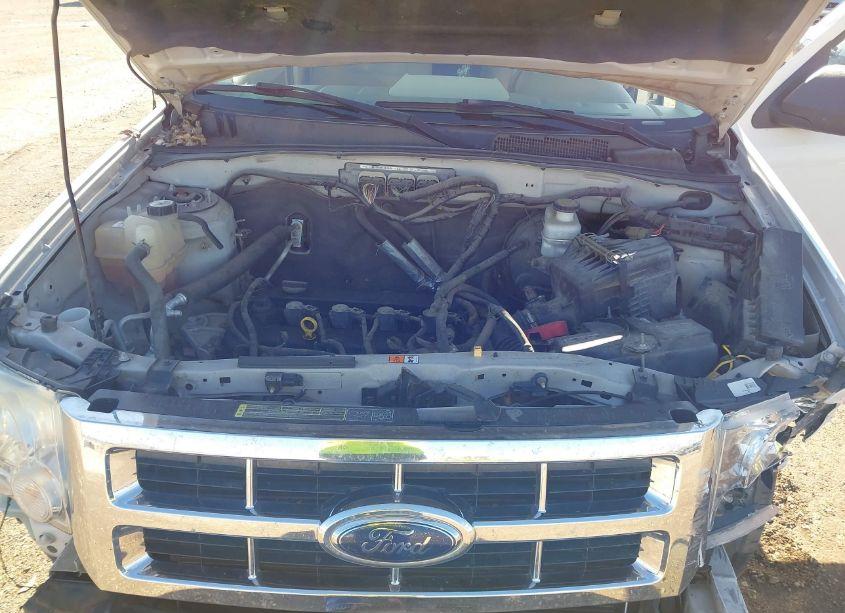 Photo 10 of 2009 Ford Escape XLT (VIN 1FMCU03709KC68098)