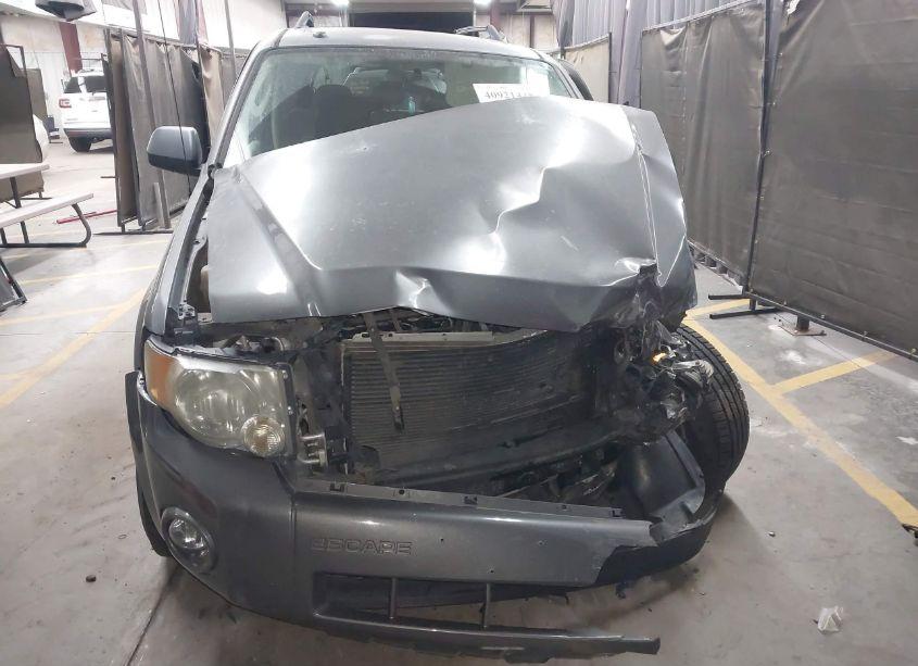 Photo 12 of 2009 Ford Escape XLT (VIN 1FMCU03719KC57644)
