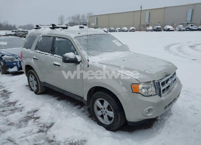 2009 Ford Escape XLT (VIN 1FMCU03729KA50521) main photo