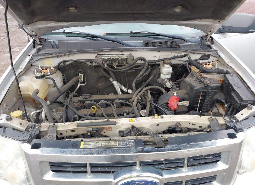 Photo 10 of 2009 Ford Escape XLT (VIN 1FMCU03729KB28604)