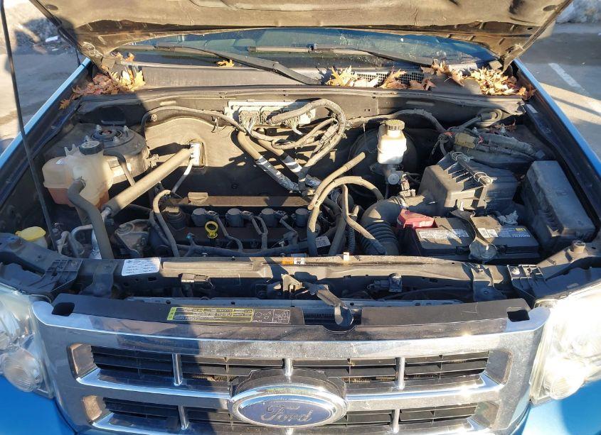 Photo 10 of 2009 Ford Escape XLT (VIN 1FMCU03749KC47920)