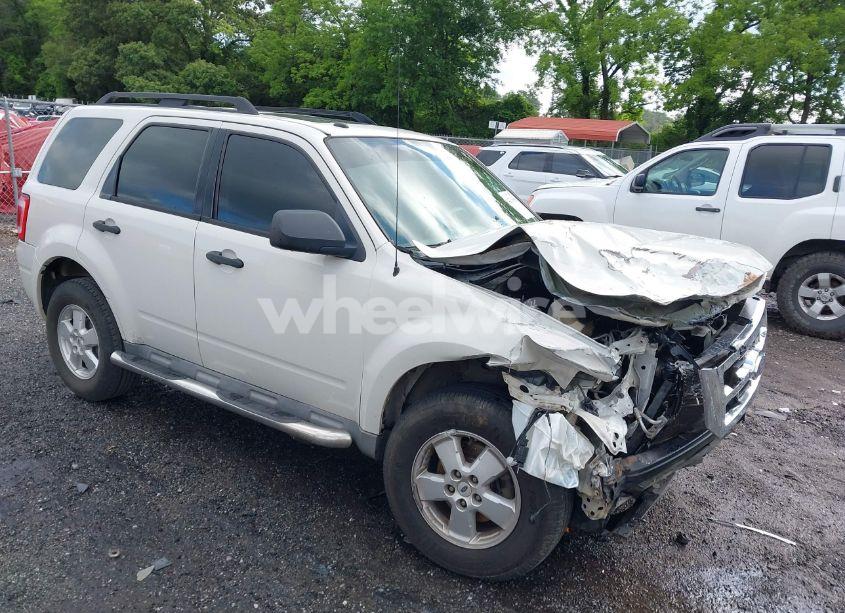 2009 Ford Escape XLT (VIN 1FMCU03759KC03621) main photo
