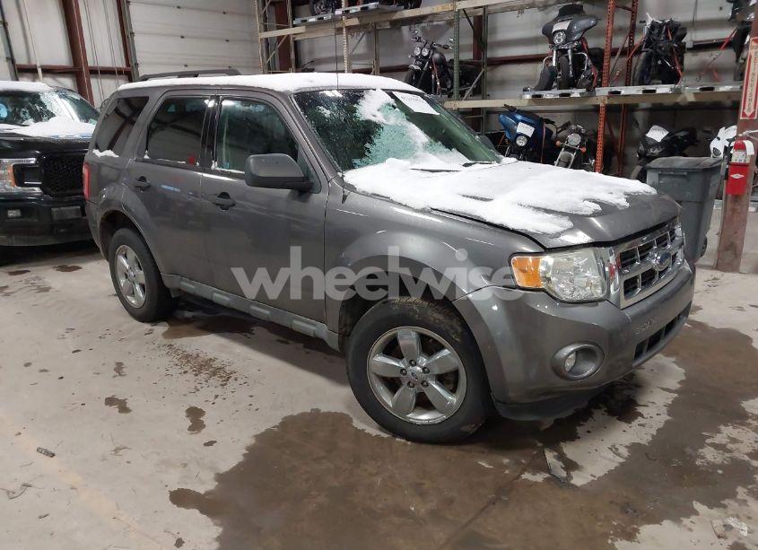 2009 Ford Escape XLT (VIN 1FMCU03759KC67397) main photo