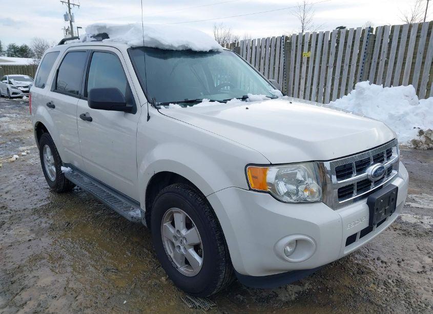 2009 Ford Escape XLT (VIN 1FMCU03779KB08915) main photo