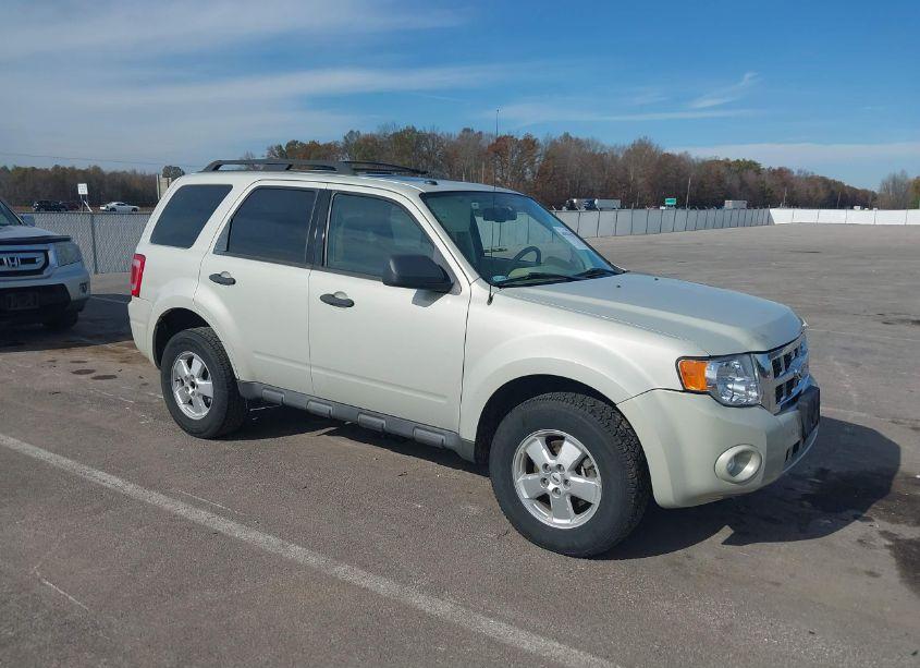 2009 Ford Escape XLT (VIN 1FMCU03779KB94906) main photo
