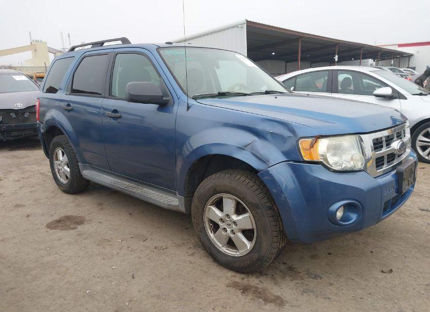 2009 Ford Escape XLT (VIN 1FMCU03789KB30261) main photo