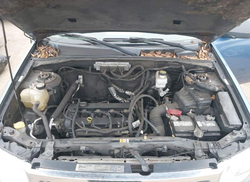 Photo 10 of 2009 Ford Escape XLT (VIN 1FMCU03789KB30261)