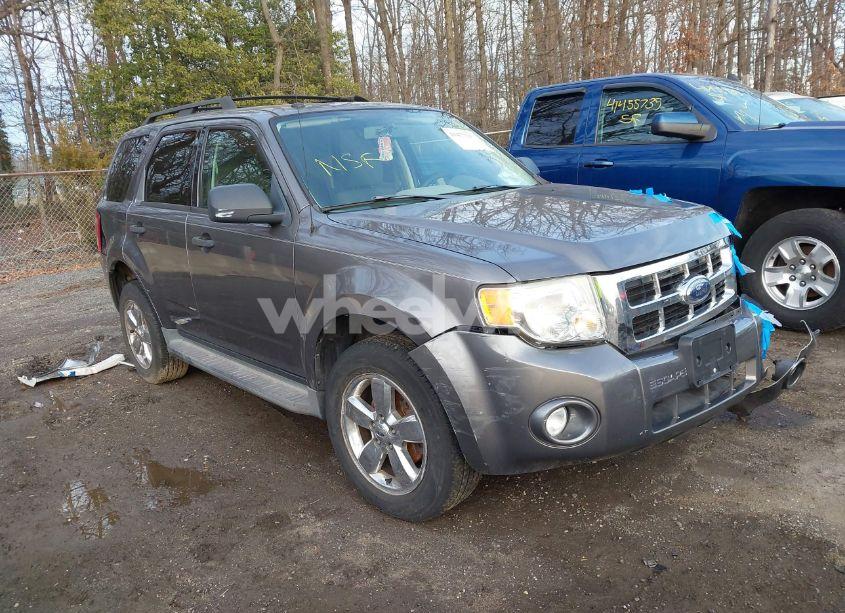 2009 Ford Escape XLT (VIN 1FMCU03799KA82592) main photo