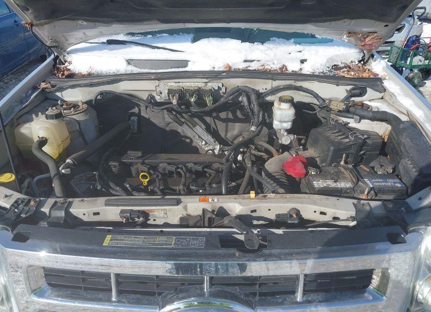 Photo 10 of 2009 Ford Escape XLT (VIN 1FMCU03799KC85305)