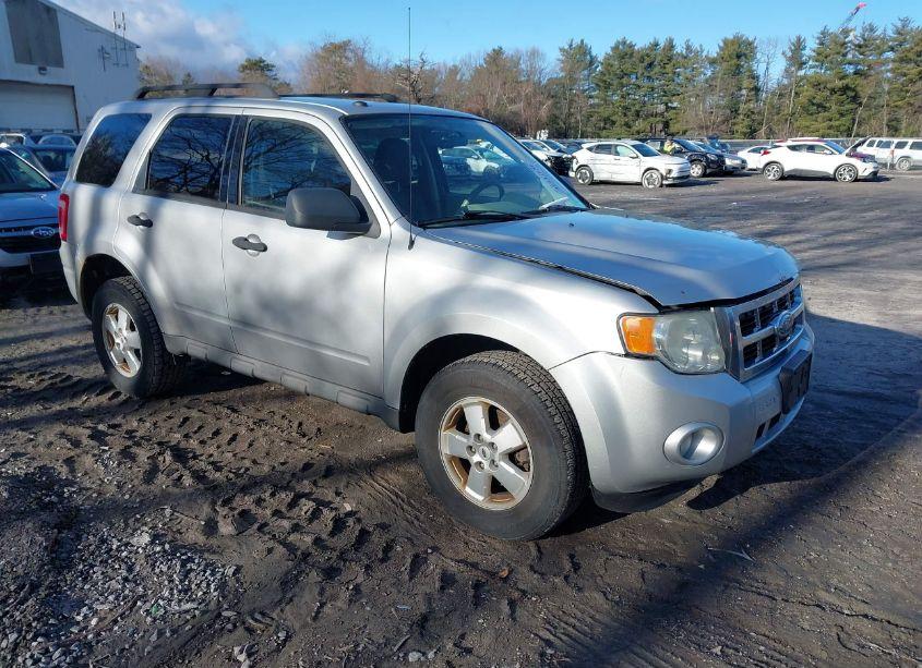 2009 Ford Escape XLT (VIN 1FMCU037X9KB30469) main photo