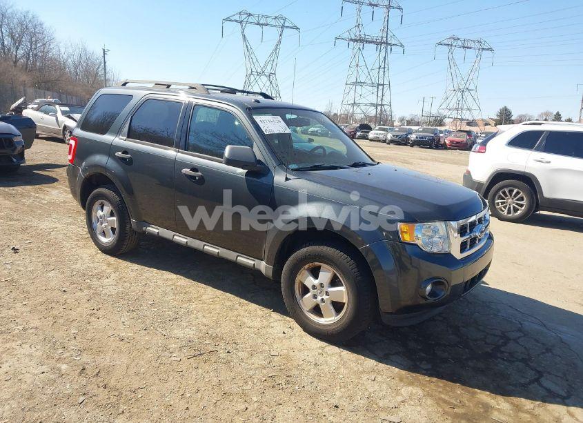 2009 Ford Escape XLT (VIN 1FMCU037X9KC05204) main photo