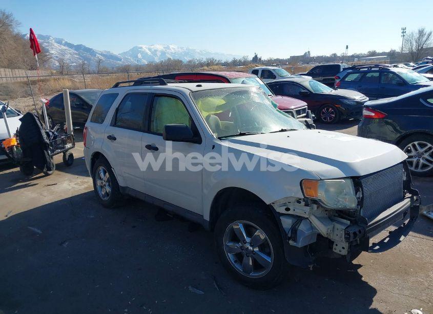 2009 Ford Escape XLT (VIN 1FMCU03G09KA36987) main photo