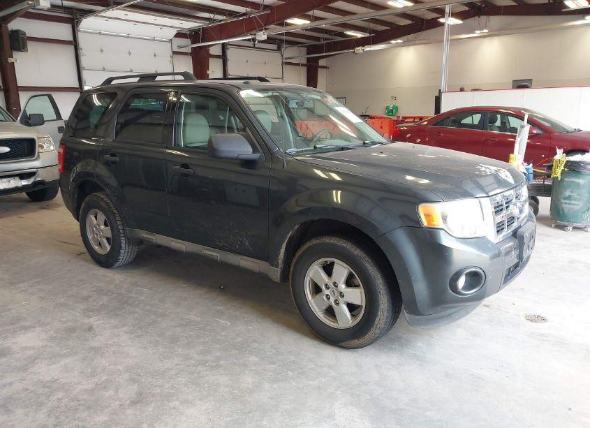 2009 Ford Escape XLT (VIN 1FMCU03G19KB35026) main photo