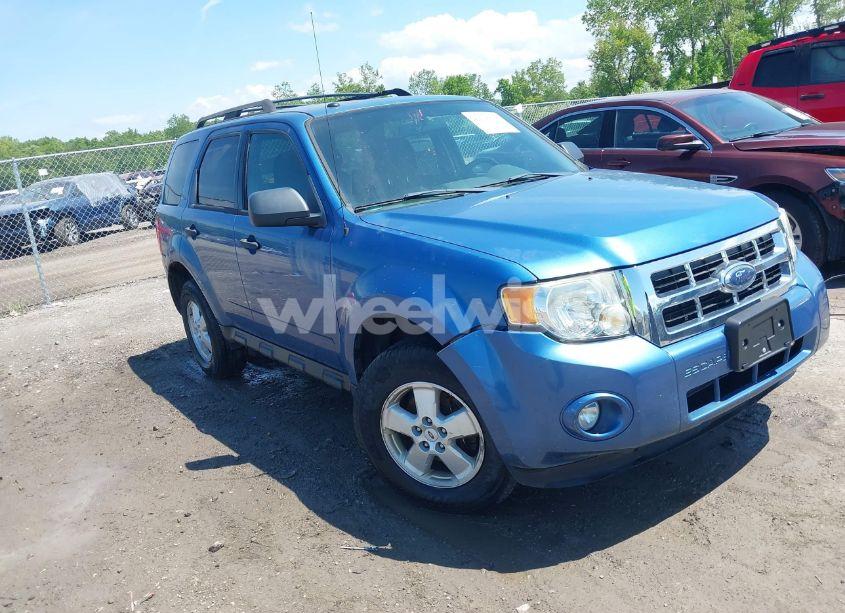 2009 Ford Escape XLT (VIN 1FMCU03G29KA08124) main photo