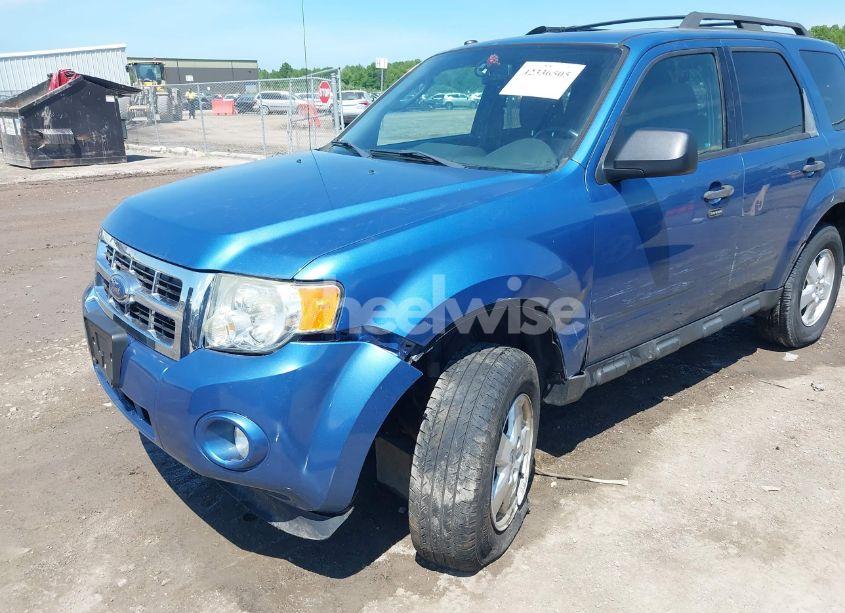 Photo 6 of 2009 Ford Escape XLT (VIN 1FMCU03G29KA08124)