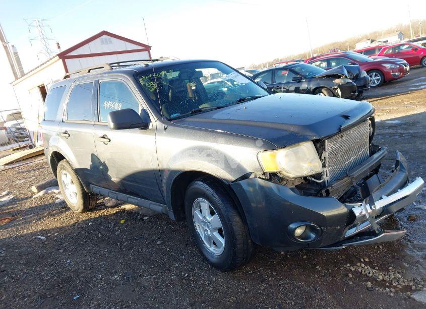2009 Ford Escape XLT (VIN 1FMCU03G39KA51323) main photo
