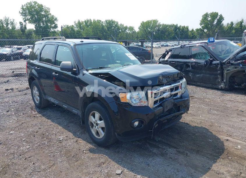 2009 Ford Escape XLT (VIN 1FMCU03G79KA21998) main photo