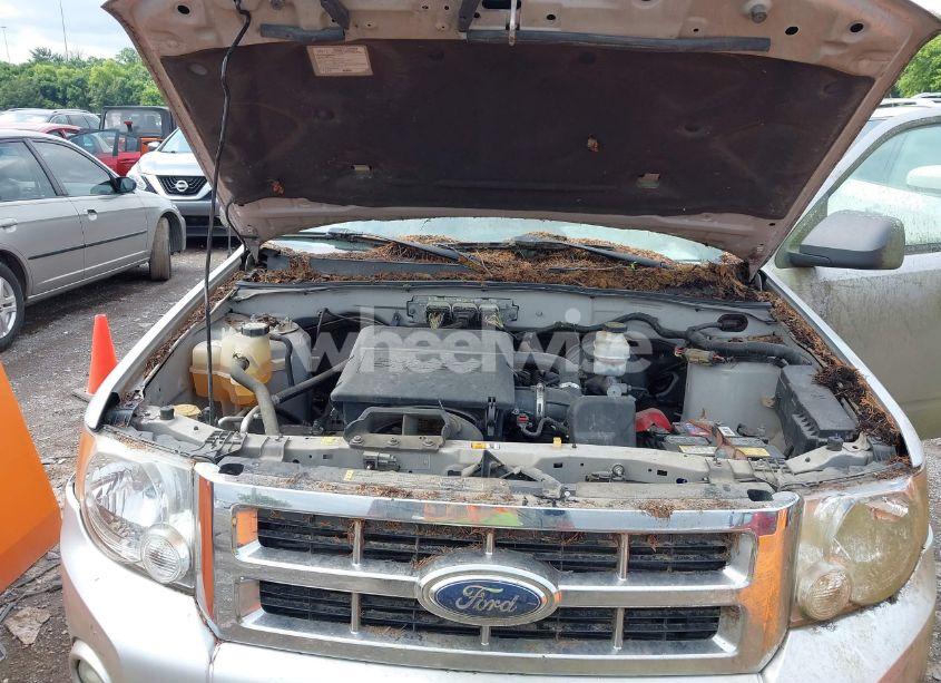Photo 10 of 2009 Ford Escape XLT (VIN 1FMCU03G79KA30331)