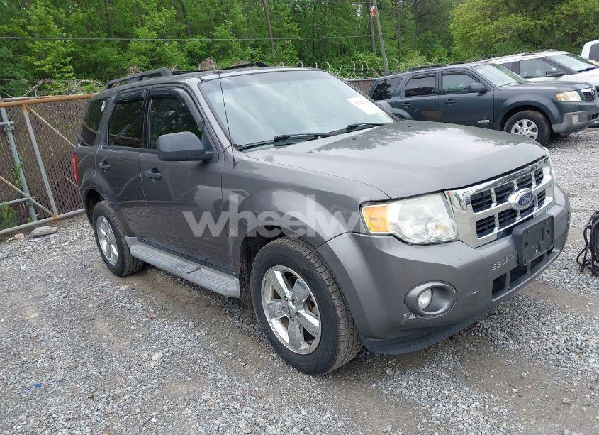 2009 Ford Escape XLT (VIN 1FMCU03GX9KD11295) main photo