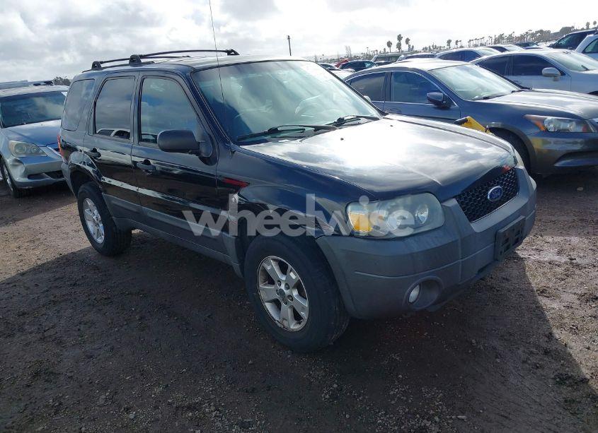 2007 Ford Escape XLT (VIN 1FMCU03Z27KB08562) main photo