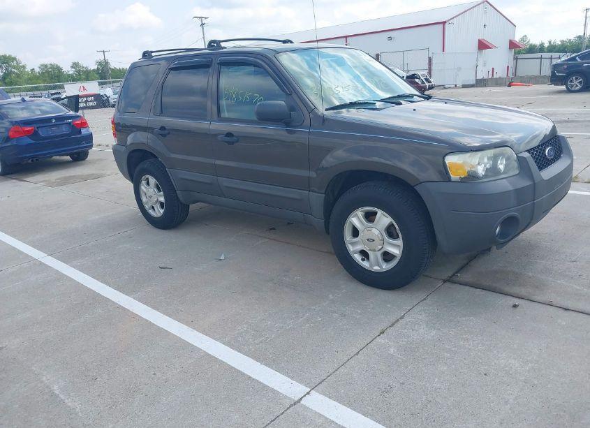 2007 Ford Escape XLT (VIN 1FMCU03Z77KA77390) main photo