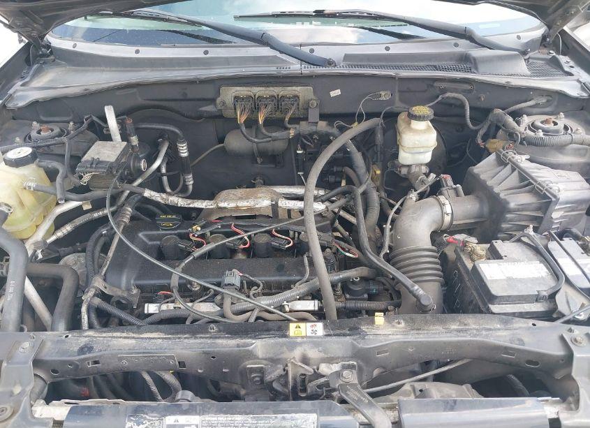 Photo 10 of 2007 Ford Escape XLT (VIN 1FMCU03Z77KA77390)