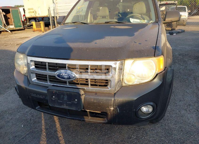 Photo 6 of 2008 Ford Escape XLT (VIN 1FMCU03Z88KB43530)