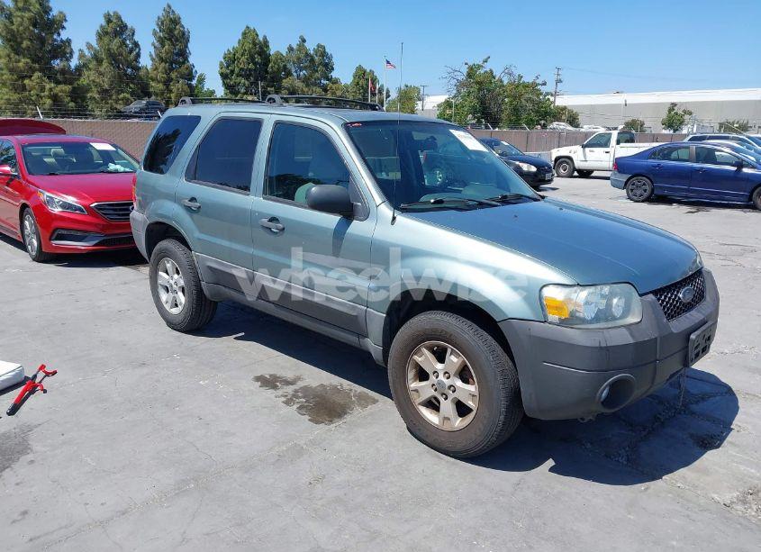 2007 Ford Escape XLT (VIN 1FMCU03ZX7KA60146) main photo