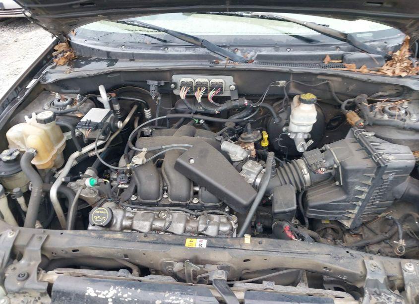 Photo 10 of 2007 Ford Escape LIMITED (VIN 1FMCU04167KB50953)