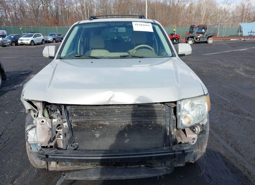 Photo 6 of 2008 Ford Escape LIMITED (VIN 1FMCU04188KD15239)