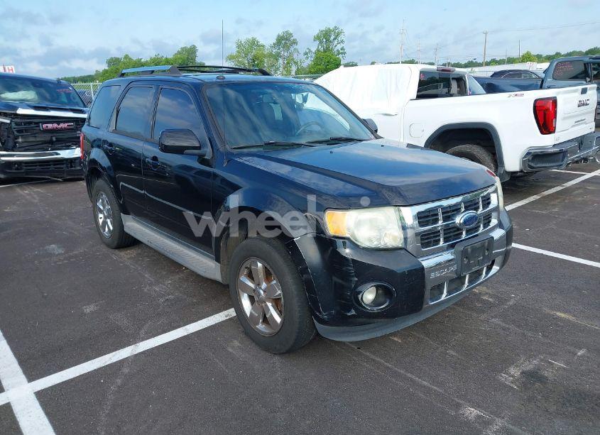 2009 Ford Escape LIMITED (VIN 1FMCU04G29KB00803) main photo