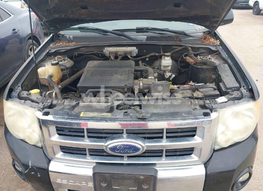 Photo 10 of 2009 Ford Escape LIMITED (VIN 1FMCU04G59KA37003)
