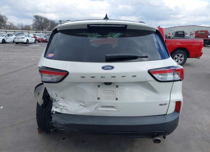 Photo 17 of 2021 Ford Escape SE HYBRID (VIN 1FMCU0BZ5MUA00809)