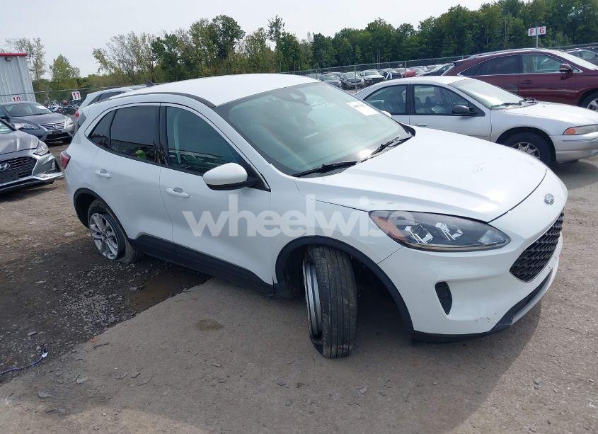 2021 Ford Escape SE HYBRID (VIN 1FMCU0BZ8MUA59353) main photo