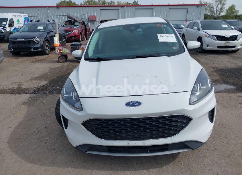 Photo 12 of 2021 Ford Escape SE HYBRID (VIN 1FMCU0BZ8MUA59353)