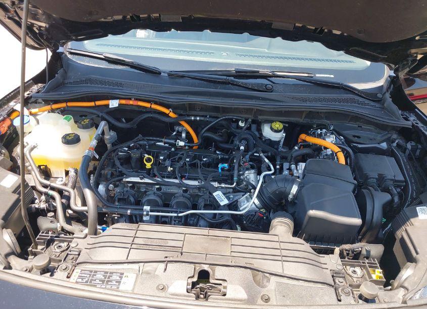 Photo 10 of 2020 Ford Escape SE SPORT HYBRID (VIN 1FMCU0BZ9LUB26203)