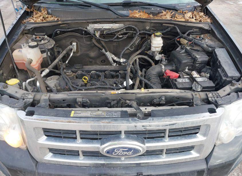 Photo 10 of 2011 Ford Escape XLS (VIN 1FMCU0C79BKB58625)