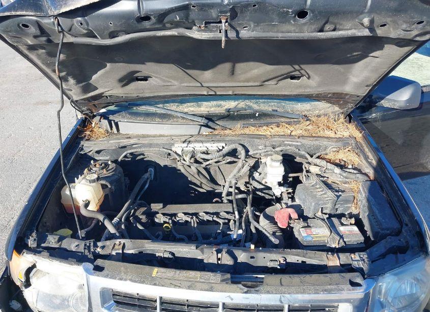 Photo 10 of 2012 Ford Escape XLS (VIN 1FMCU0C79CKA54184)