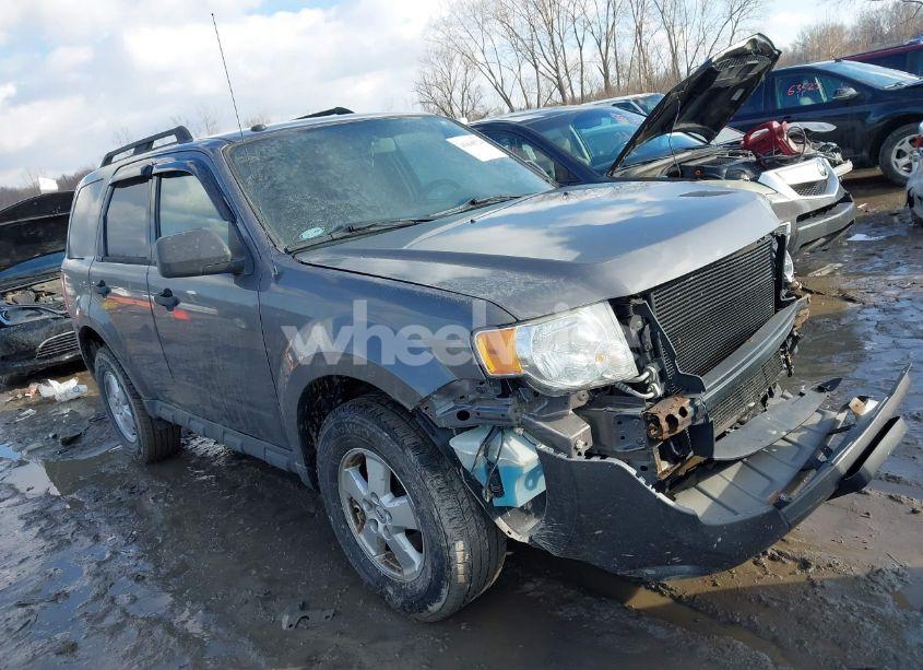 2010 Ford Escape XLT (VIN 1FMCU0D70AKB62365) main photo