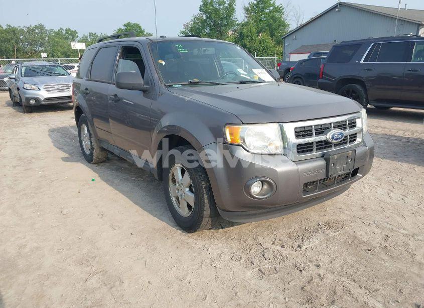 2010 Ford Escape XLT (VIN 1FMCU0D70AKC13511) main photo